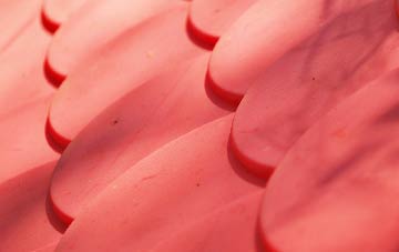 Runshaw Moor plastic roof costs