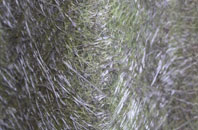 Runshaw Moor fibreglass roof work